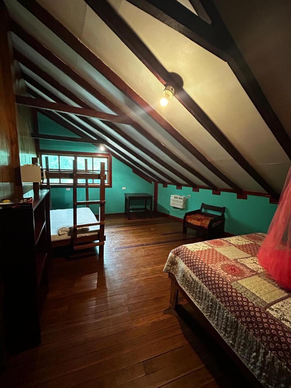 Corcovado The Monkey Trail Hotell Drakes Bay Rom bilde